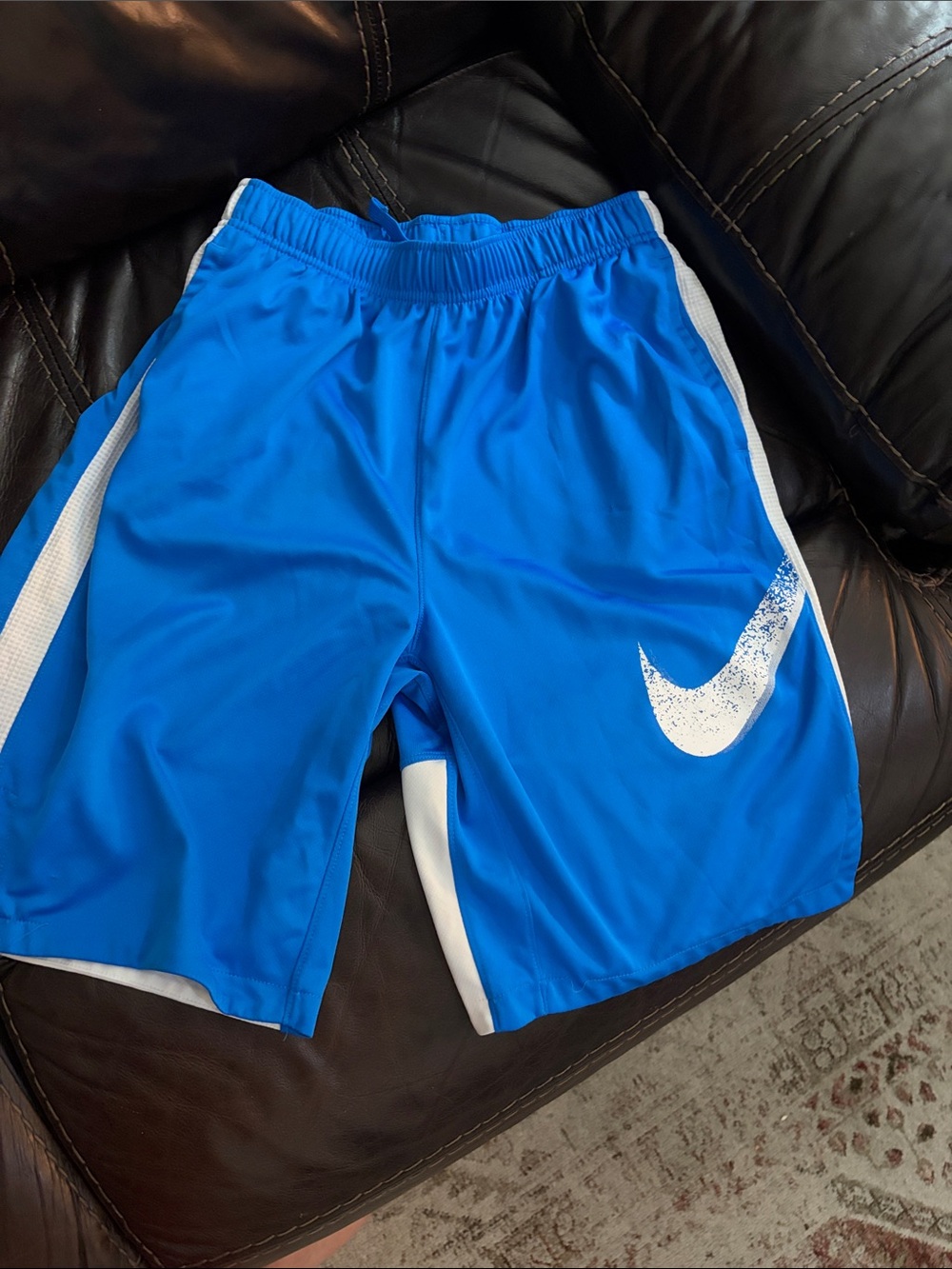 Nike Bright Blue Athletic Shorts with White Swoosh